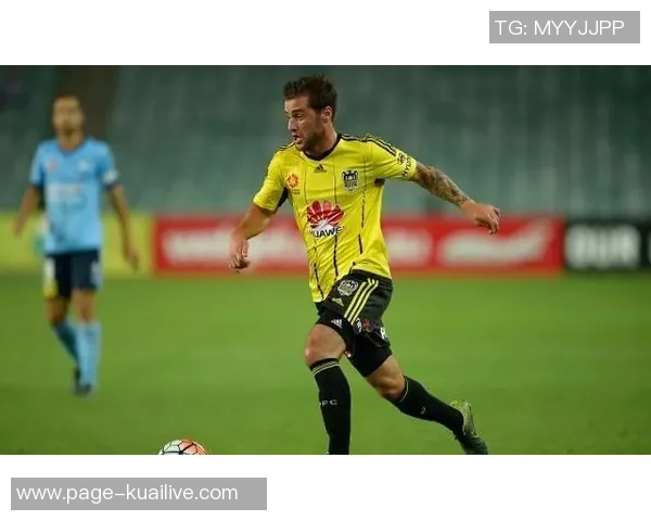 悉尼足球彩票对决惠灵顿精彩赛事分析与投注建议